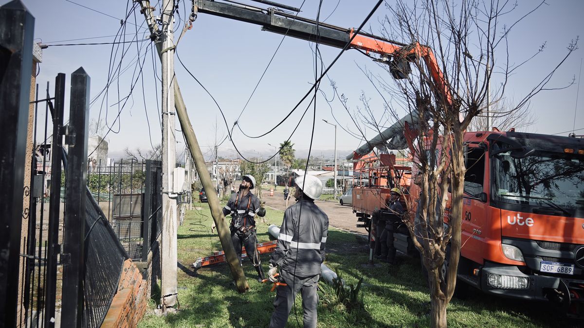 UTE estima que temporal tuvo un costo de US$ 4 millones y que servicios que quedan afectados se restablecerán el fin de semana