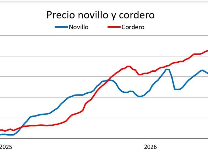 Se activa el mercado de lanas y el precio de la carne ovina repunta desde el piso anual de oferta
