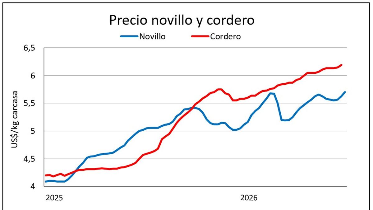 Se activa el mercado de lanas y el precio de la carne ovina repunta desde el piso anual de oferta