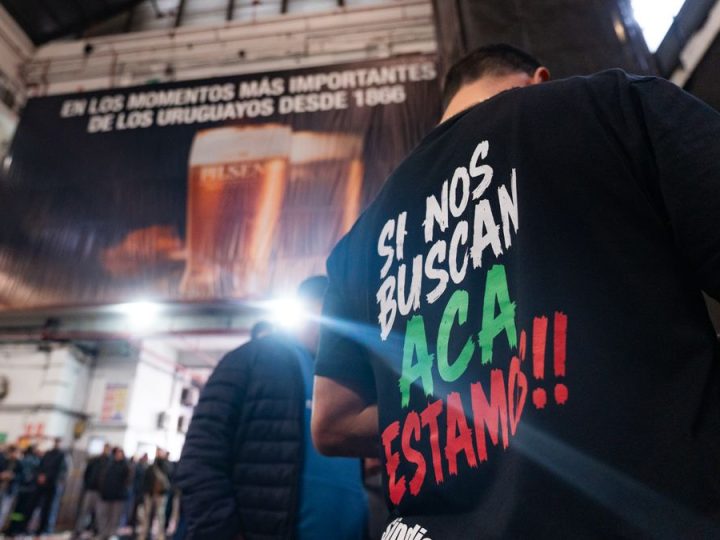 "Si nos buscan, acá estamos": trabajadores de FNC no se reintegran a sus tareas en Montevideo y sindicato exige definiciones a la empresa