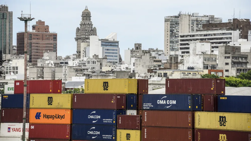 Carne y celulosa lideraron las exportaciones uruguayas en los primeros siete meses