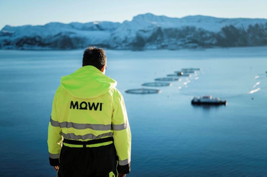 MOWI incrementa su flota y añade un 20% de vehículos eléctricos