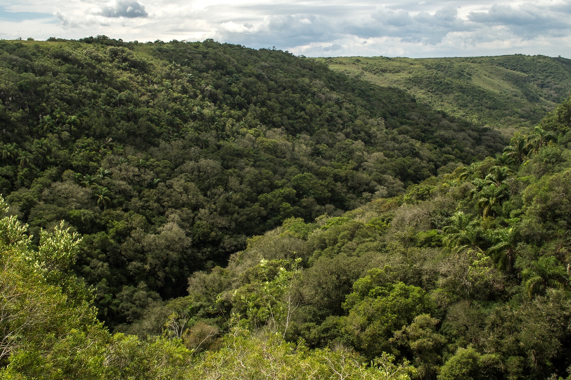 Coca-Cola renueva su inversión para impulsar la conservación del agua en Uruguay y otros cinco países de la región