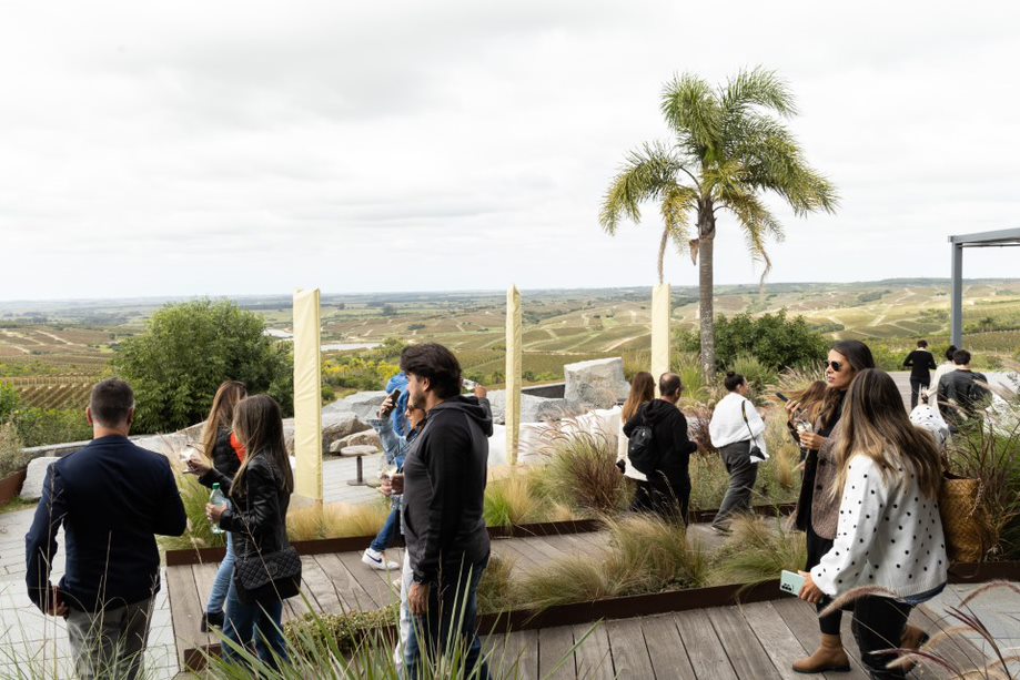 El enoturismo como oportunidad para desestacionalizar el turismo en Maldonado