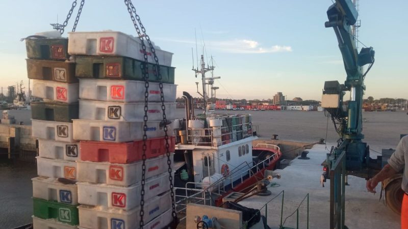 Lo que pasa con los barcos, la pesca y las exportaciones tras el conflicto en el sector