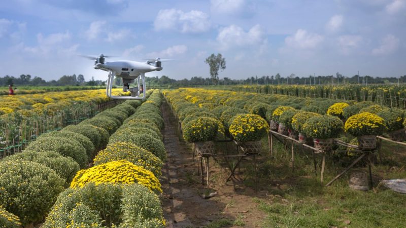 Referentes del ecosistema agtech pidieron priorizar necesidades y expectativas de los agricultores