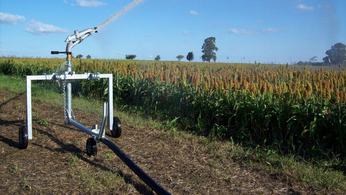 Mayor uso del riego: informe señala contundentes avances en la producción y un impacto económico millonario