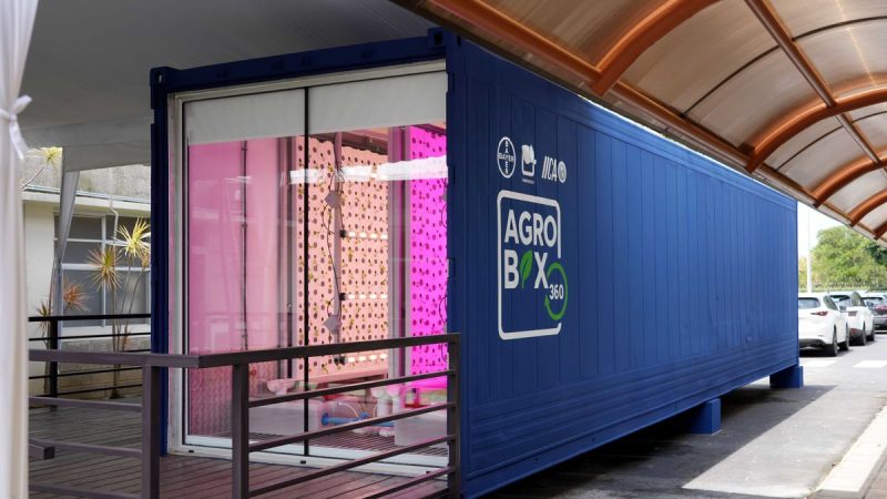 Agricultura urbana: en la sede del IICA presentaron una granja en el interior de un contenedor