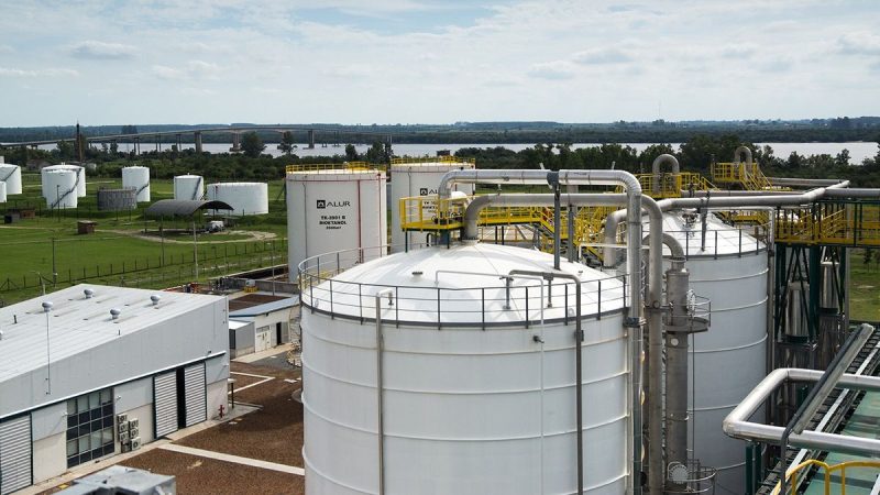 ALUR presentó el Plan Sorgo: cuánto compra, cómo paga y otros detalles de la propuesta a los productores