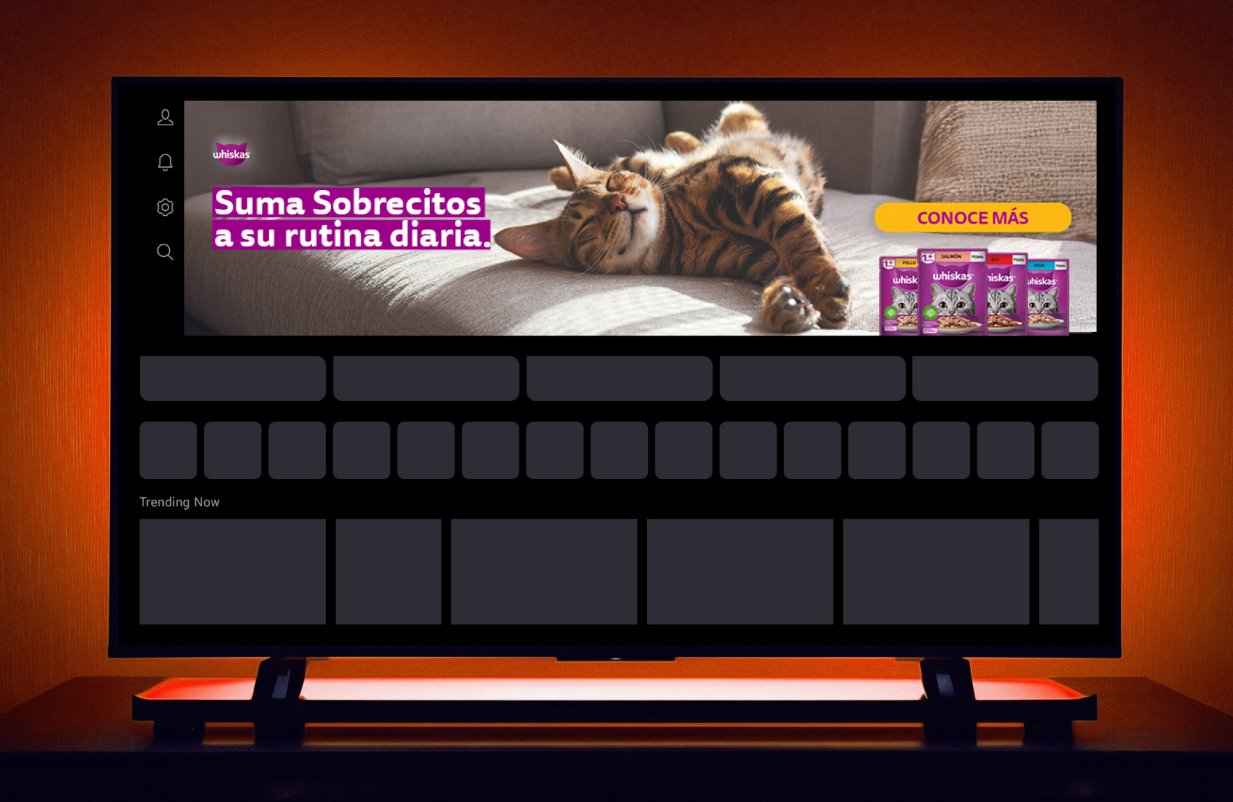 CASO DE ÉXITO: WHISKAS POTENCIA SU PRESENCIA EN COLOMBIA CON UNA EFECTIVA CAMPAÑA DE MEDIOS DESARROLLADA POR EXTE