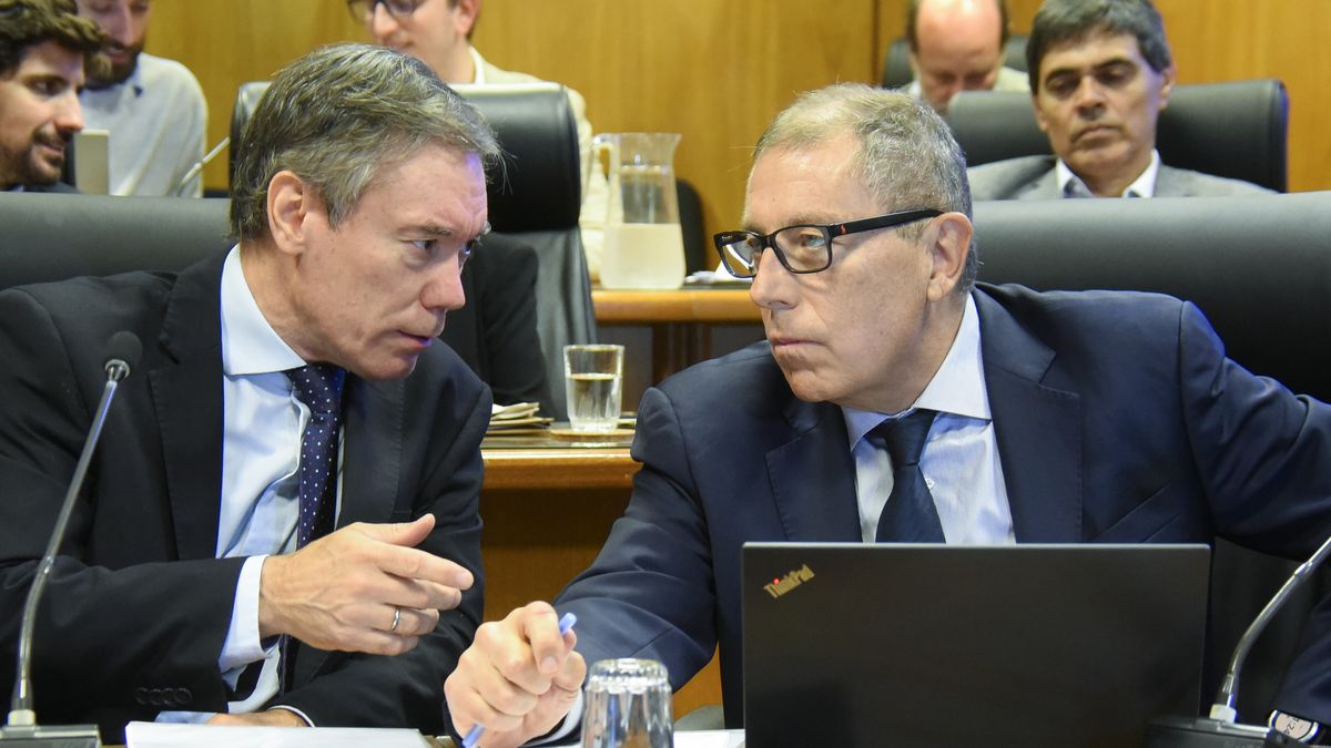 Oddone aseguró que cambios en Impuesto Mínimo Global para contemplar zonas francas "no tienen ningún impacto" en la recaudación