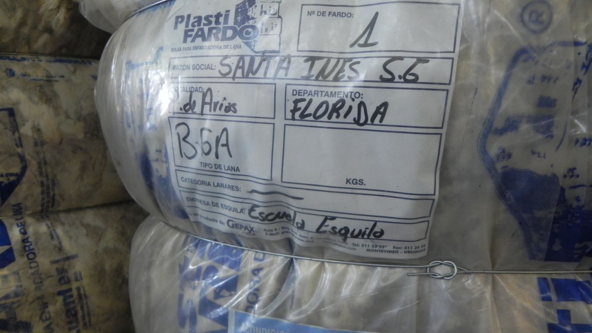 Las lanas, de estar estrelladas a ser las estrellas de los mercados