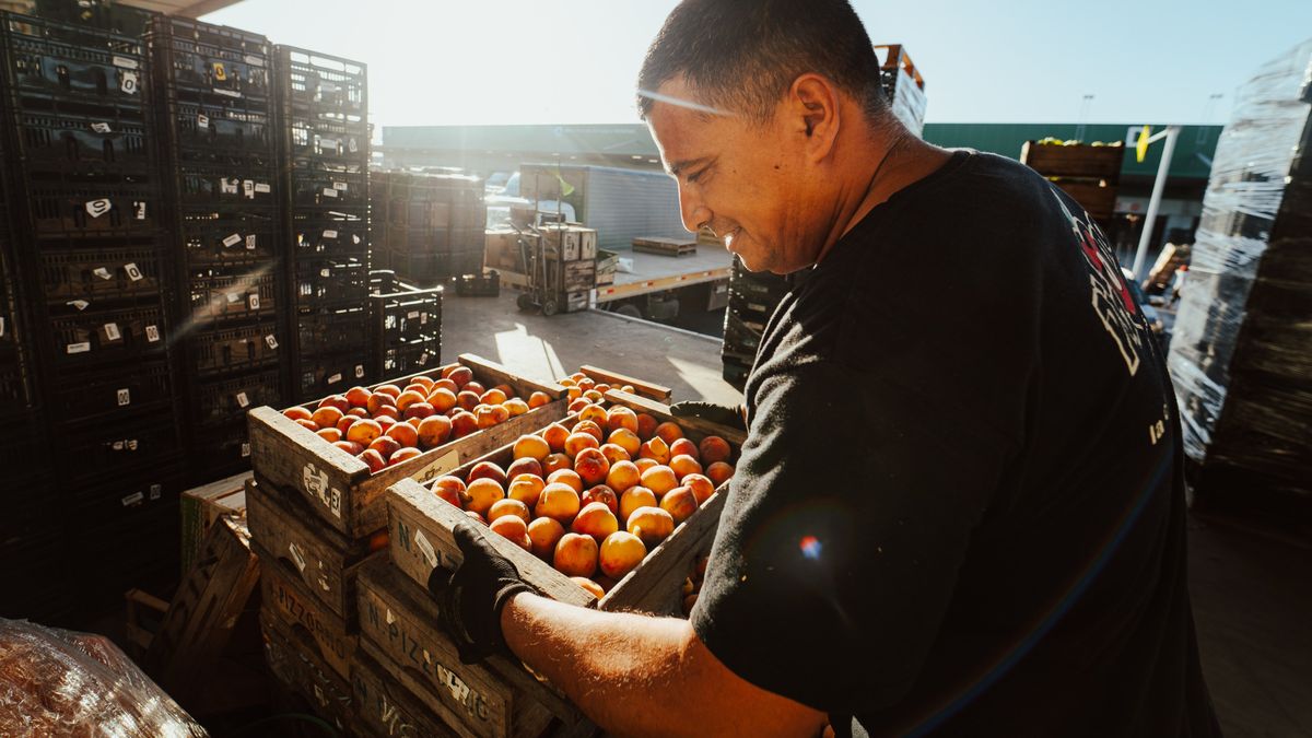 Combate al desperdicio de frutas y verduras en la UAM, ¿cuánto se recupera y a quiénes beneficia?