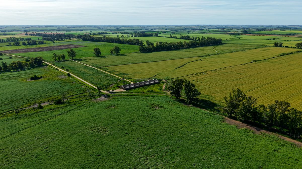 Tierras de Don Alfredo, sobre dos rutas y coneat 181, el campo "casi único" que vende Rodeos Negocios Rurales