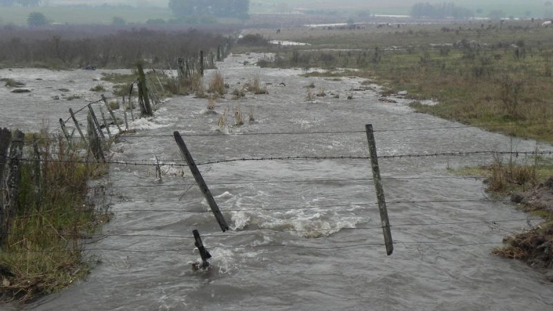 Países del CAS avanzan en la creación de un seguro contra eventos climáticos extremos que afectan al agro
