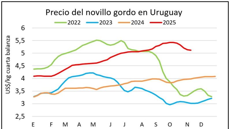 Señales de repunte para el precio del ganado en la recta final de la faena de vacunos para la cuota europea