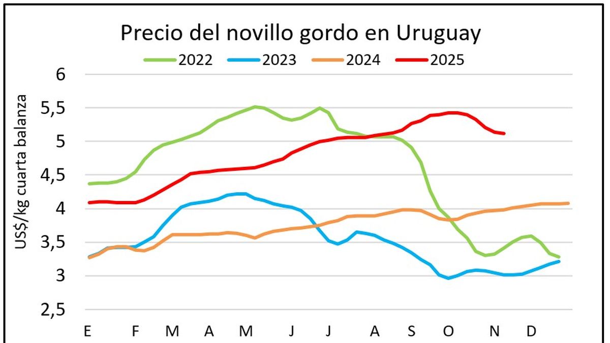 Señales de repunte para el precio del ganado en la recta final de la faena de vacunos para la cuota europea