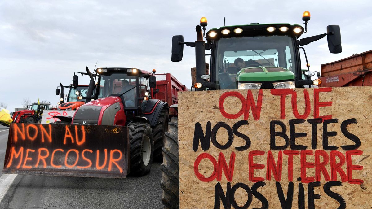 Acuerdo Mercosur Unión Europea, tras el fracaso en diciembre, tiene nueva fecha para la postergada aprobación