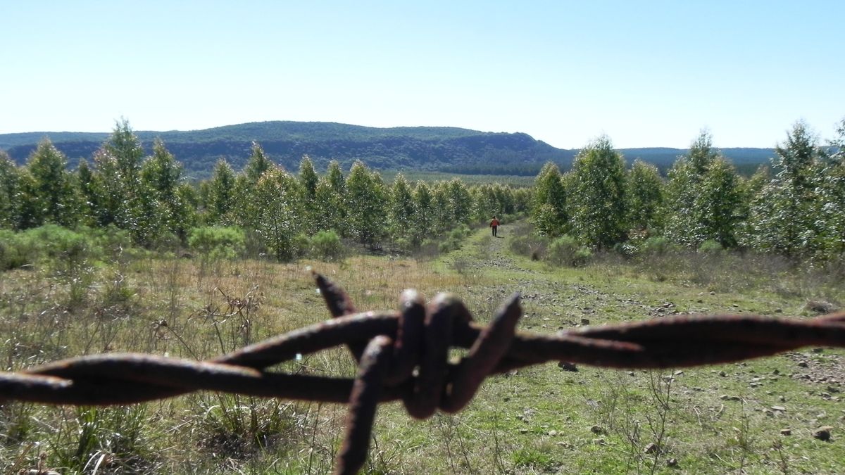 Copamientos en el campo: la Federación Rural denunció un persistente deterioro de las condiciones de seguridad