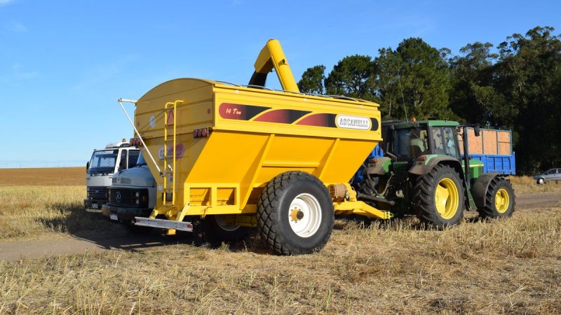 Cierre del mercado de granos con fuertes ajustes semanales para la colza, la soja y el trigo