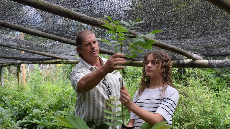 La historia del vivero forestal que arrancó en una pista de perros Cimarrón Uruguayo