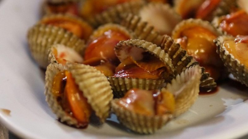 MGAP informó, apenas comenzó el verano, por qué está prohibida la extracción y venta de moluscos bivalvos