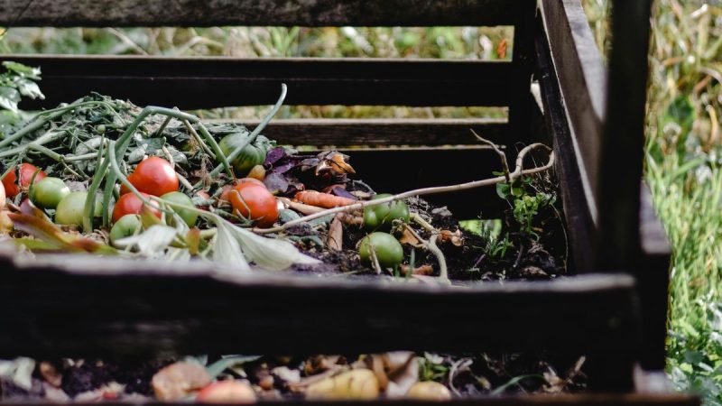 Pérdidas y desperdicios de alimentos, desafío urgente en Uruguay y con registros preocupantes