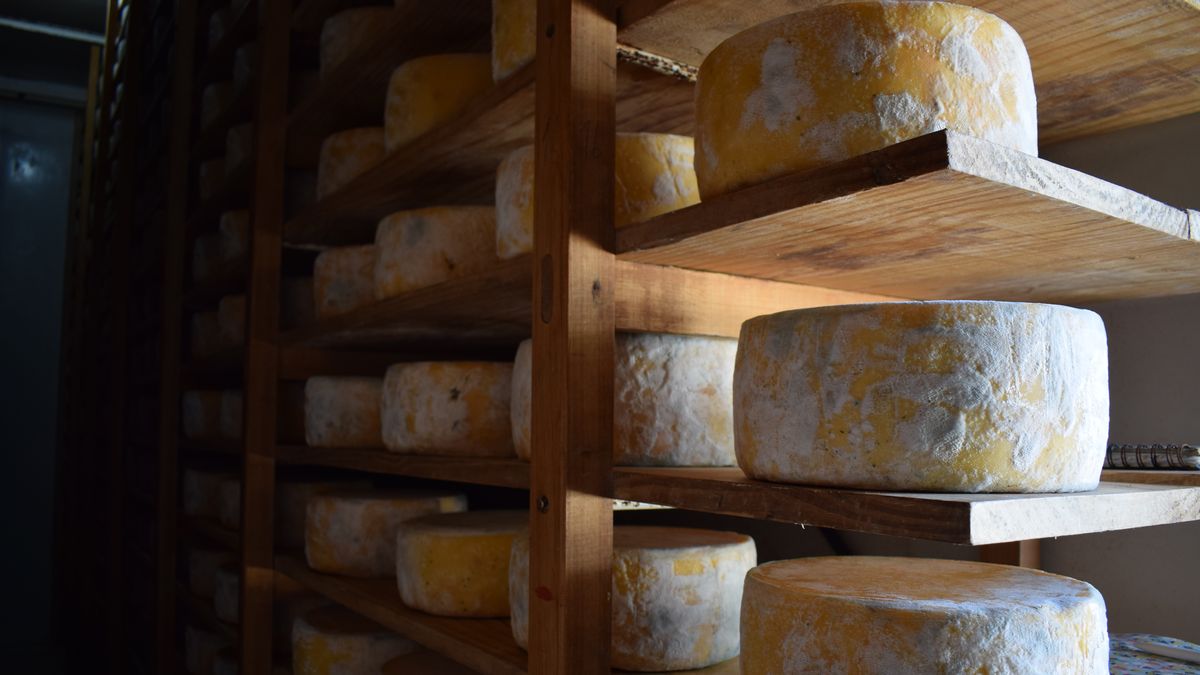 Nuevos datos del Inale sobre un año récord para la exportación de productos lácteos: casi mil millones