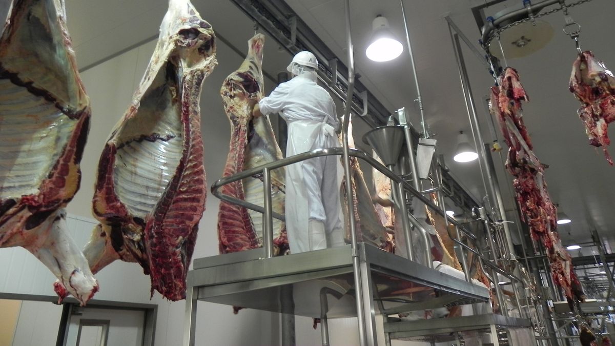 China impone aranceles a la carne vacuna, pero Fratti asegura que Uruguay sale favorecido