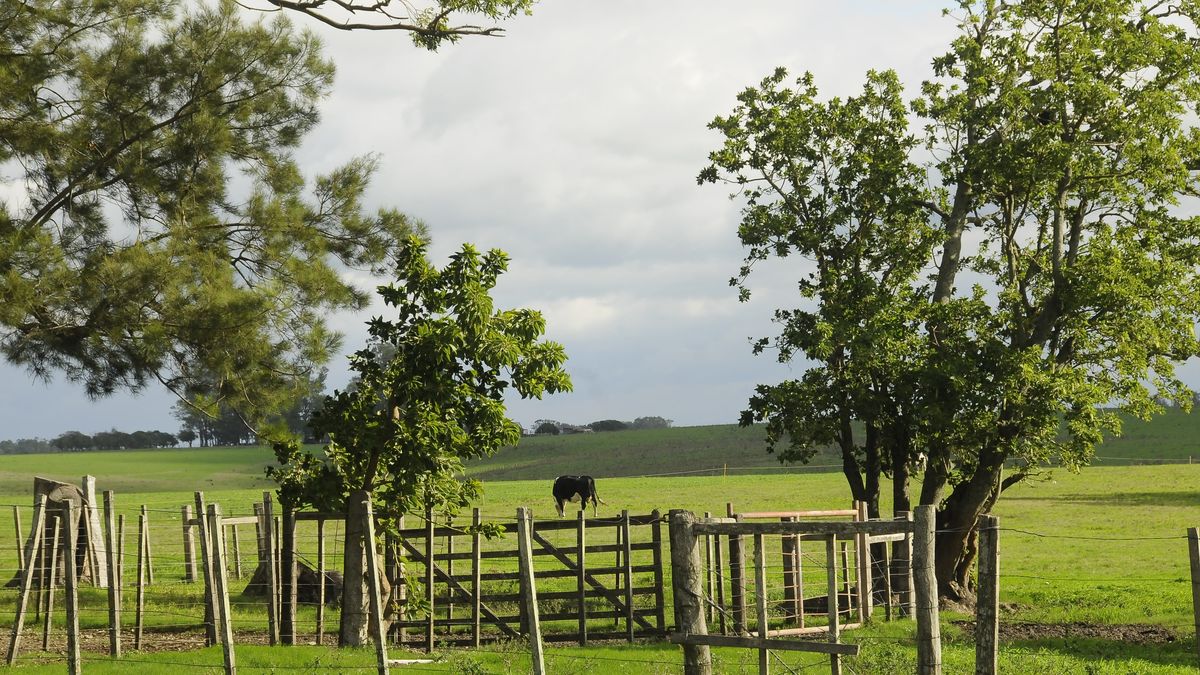 La Federación Rural se pronunció sobre el acuerdo comercial Mercosur – Unión Europea