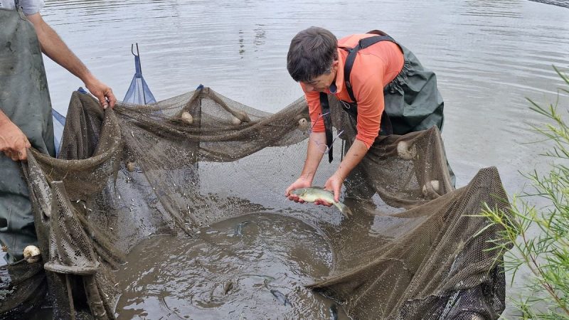 Claudia, desde Acuicultura Punta Negra, promueve la siembra de peces para que haya equilibrio en los tajamares
