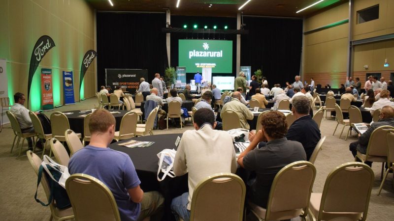 El detalle de los remates ganaderos programados para realizarse durante Agro en Punta 2026