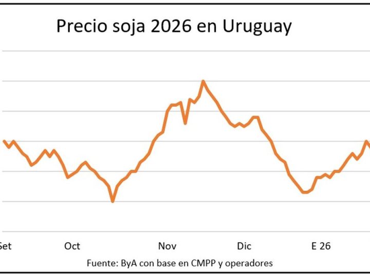 Un posteo de Trump abre una oportunidad para la soja