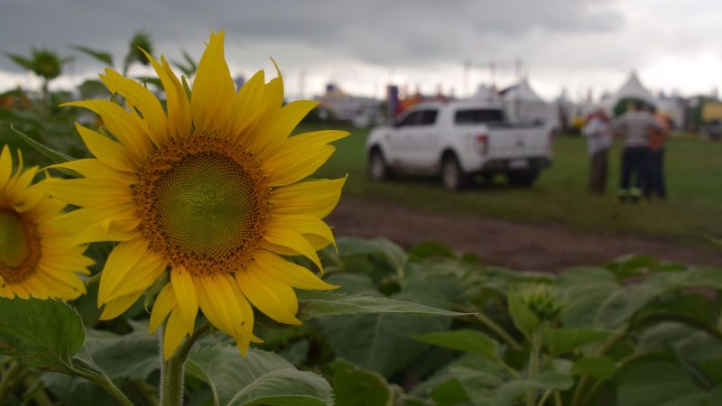 La Expoactiva arranca con muy buen ánimo en las empresas y un momento de grises en los productores