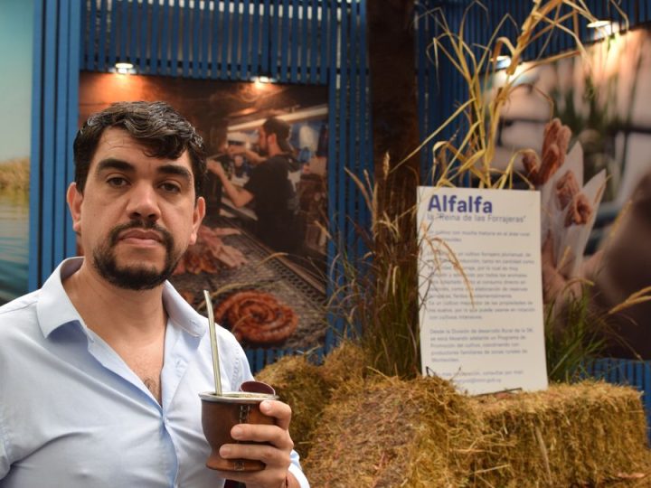 Plan Alfalfa en Montevideo rural: mejorar las cuentas, el suelo y que los camiones no salgan vacíos de la UAM