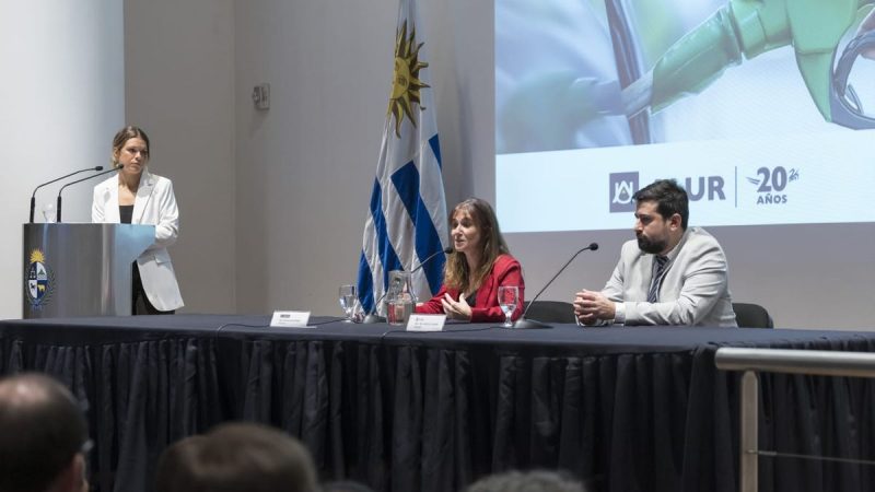 ALUR y el impacto de los biocombustibles en la reducción de las emisiones de gases de efecto invernadero