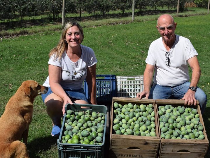 La pasión del granjero que ayudó a que los uruguayos disfruten "el sabor de la patria" en una fruta nativa