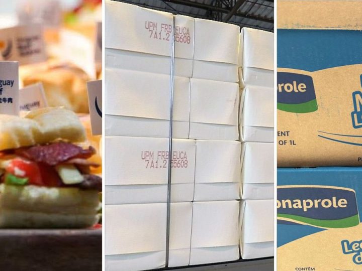 Carne vacuna y celulosa explican casi el 40% de los ingresos por exportaciones de bienes