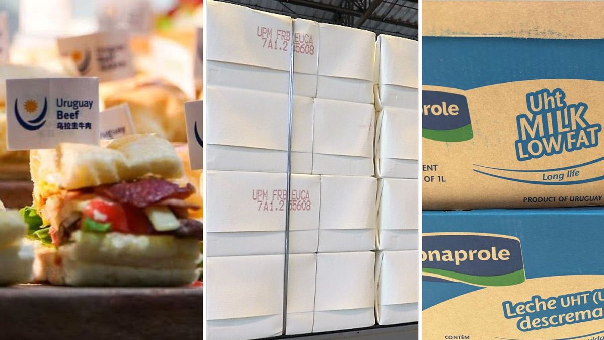 Carne vacuna y celulosa explican casi el 40% de los ingresos por exportaciones de bienes