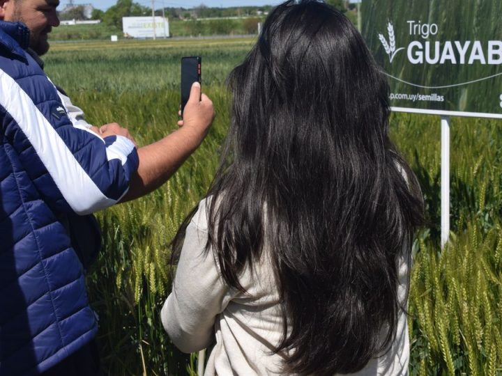 El catálogo de cultivos de invierno de ADP – Agronegocios del Plata "en un contexto desafiante"