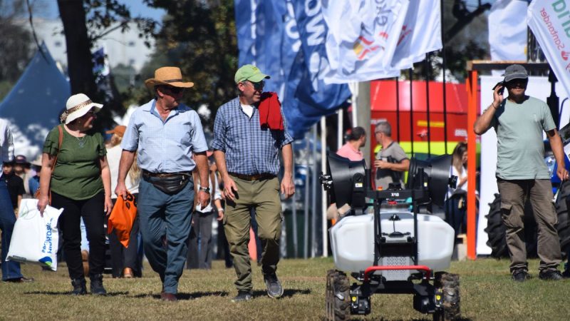 Último día para visitar la Expo Rural de Melilla: cómo llegar y la lista de actividades destacadas