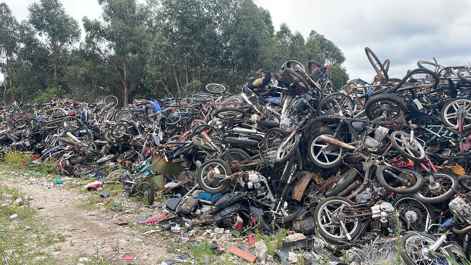 3 millones de kilos de chatarra acumulada. Interior comienza a desmantelar depósitos convertidos en cementerios de vehículos