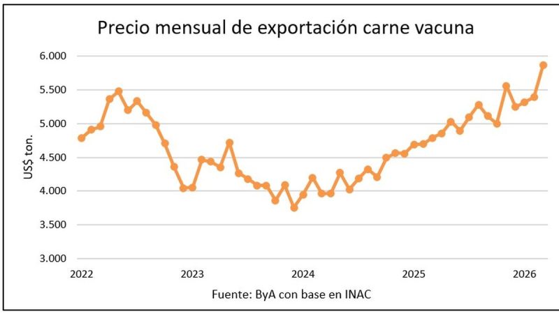 El mercado espera un rebote en el precio del ganado gordo con valores récord en la exportación de carnes