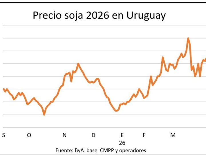 Los precios de soja y colza se afirman en el mercado de granos y, a la vez, el trigo se debilita
