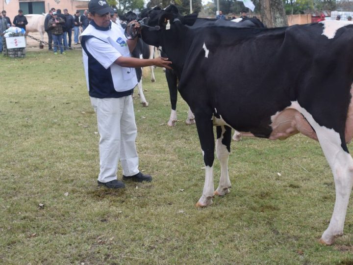 Poner a la lechería y al productor en el centro de todo es el objetivo de una innovadora actividad en Florida