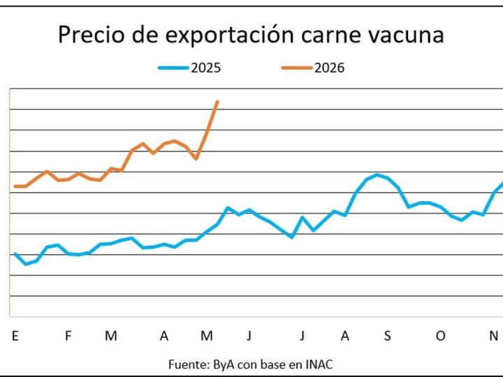 La exportación de carne vacuna logra precios históricos y sube el valor del ganado gordo