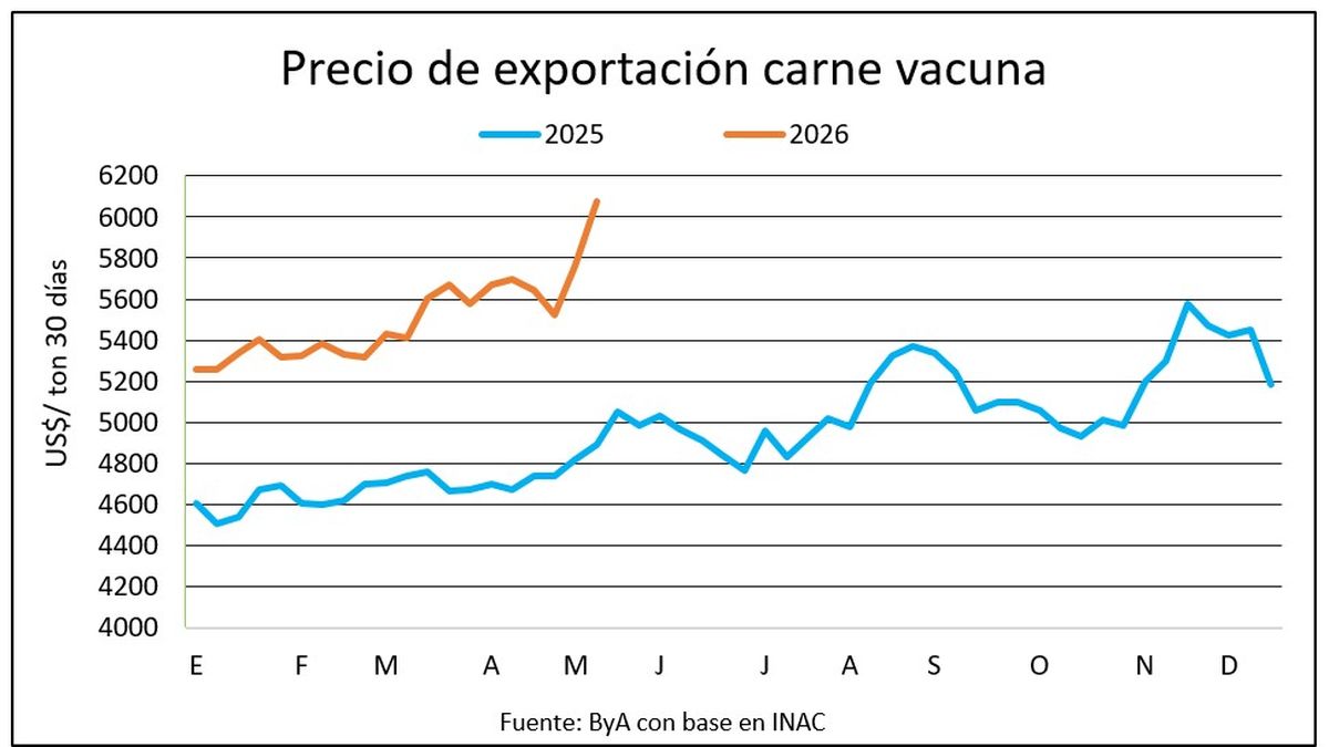 La exportación de carne vacuna logra precios históricos y sube el valor del ganado gordo