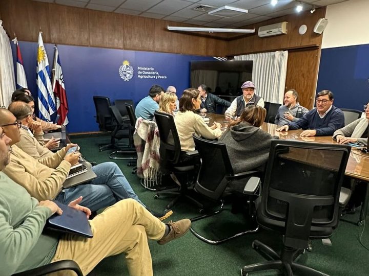 La lista de apoyos que el MGAP mantiene vigentes pese a que cesó la declaración de emergencia agropecuaria