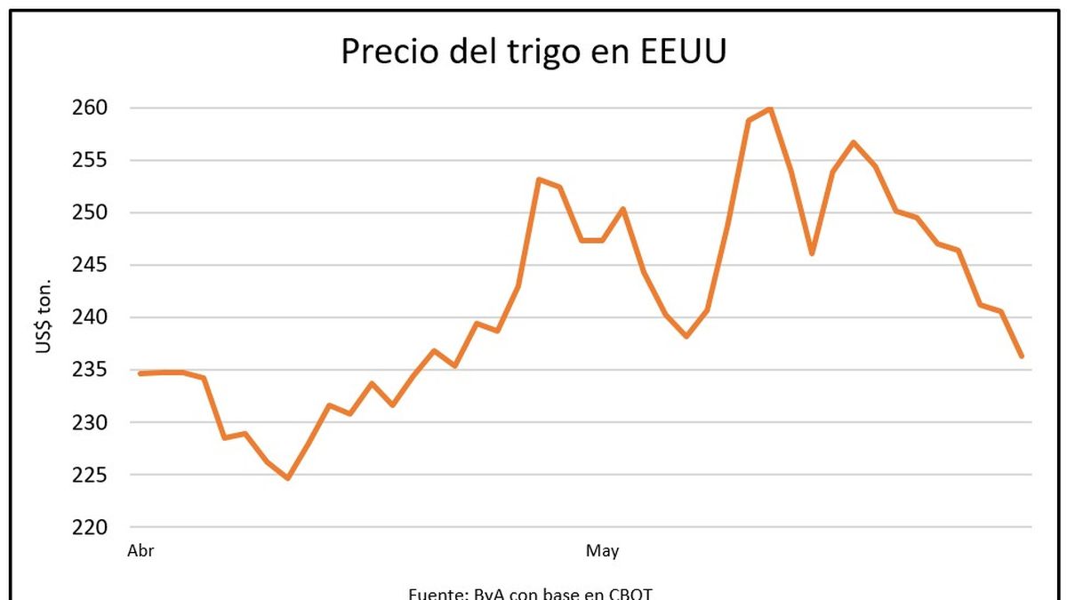 El precio del trigo se desploma en una semana de ajustes para los granos