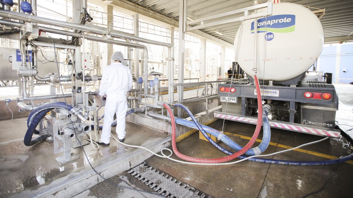 La solución de Conaprole a uno de los problemas graves que originó el cierre de Coleme
